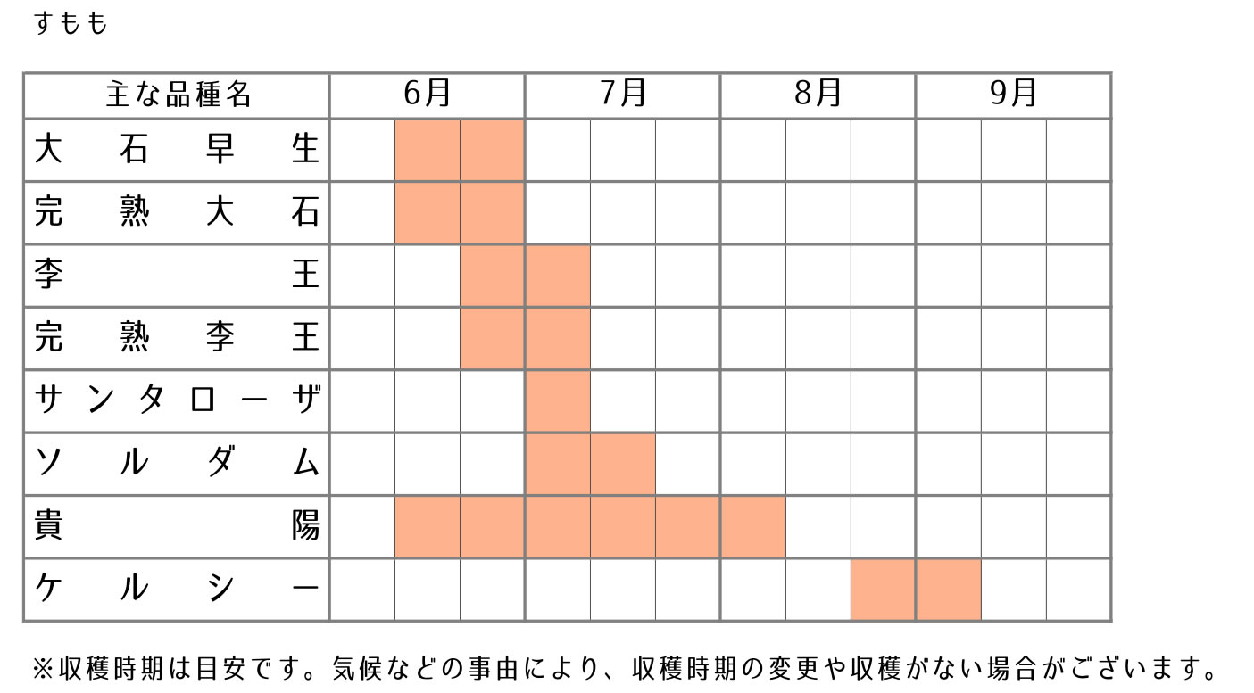 名称未設定-2